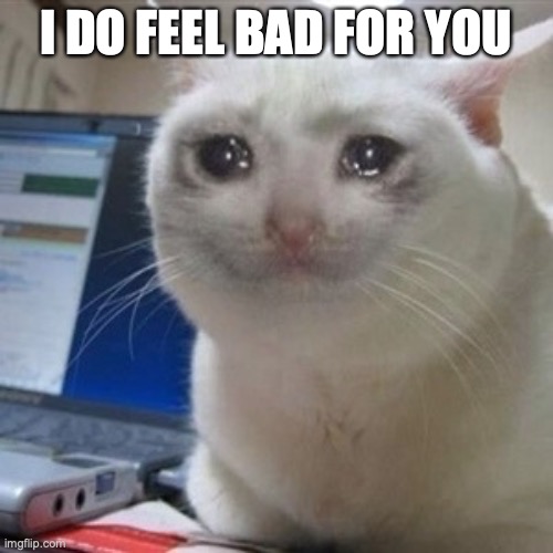 Crying cat | I DO FEEL BAD FOR YOU | image tagged in crying cat | made w/ Imgflip meme maker