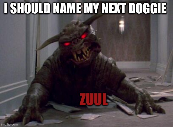 Zuulie | I SHOULD NAME MY NEXT DOGGIE; ZUUL | image tagged in zuulie | made w/ Imgflip meme maker