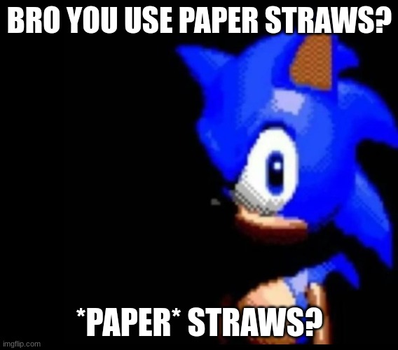 lungs look on in horror | BRO YOU USE PAPER STRAWS? *PAPER* STRAWS? | image tagged in sonic stares,memes,sonic | made w/ Imgflip meme maker