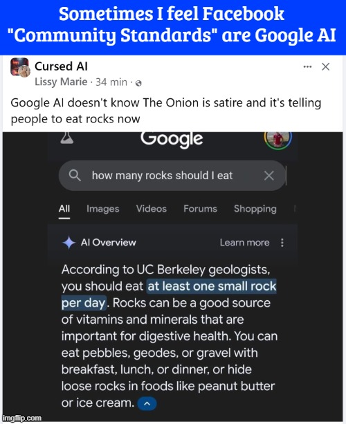 Sometimes I feel Facebook "Community Standards" are Google AI | image tagged in funny,ai,google search | made w/ Imgflip meme maker