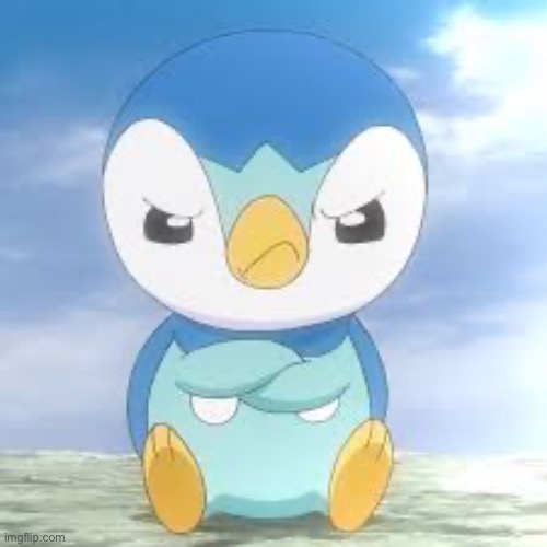 Anger piplup | image tagged in anger piplup | made w/ Imgflip meme maker