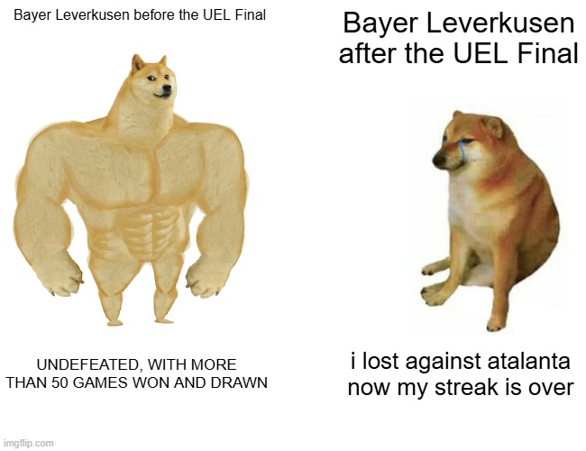 After losing the final against Atalanta, nothing will ever be the same for Bayer Leverkusen. | Bayer Leverkusen before the UEL Final; Bayer Leverkusen after the UEL Final; UNDEFEATED, WITH MORE THAN 50 GAMES WON AND DRAWN; i lost against atalanta now my streak is over | image tagged in memes,buff doge vs cheems,bundesliga,sports,soccer | made w/ Imgflip meme maker