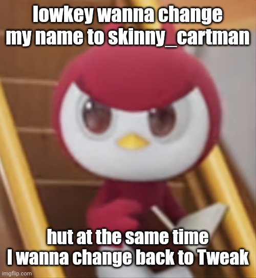 BOOK ❗️ | lowkey wanna change my name to skinny_cartman; hut at the same time I wanna change back to Tweak | image tagged in book | made w/ Imgflip meme maker