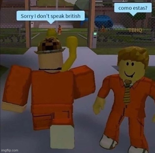 British kids always be on the ‘blox | image tagged in msmg | made w/ Imgflip meme maker