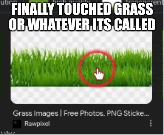 FINALLY TOUCHED GRASS OR WHATEVER ITS CALLED | made w/ Imgflip meme maker