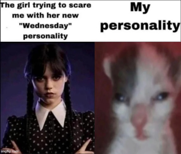 The girl trying to scare me with her new Wednesday personality | image tagged in the girl trying to scare me with her new wednesday personality | made w/ Imgflip meme maker