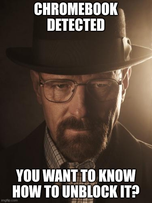 Walter White | CHROMEBOOK DETECTED YOU WANT TO KNOW HOW TO UNBLOCK IT? | image tagged in walter white | made w/ Imgflip meme maker