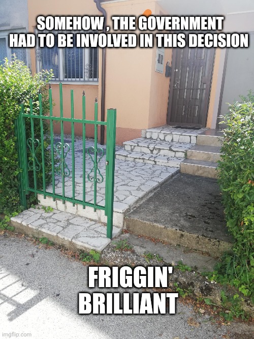 government | SOMEHOW , THE GOVERNMENT HAD TO BE INVOLVED IN THIS DECISION; FRIGGIN' BRILLIANT | image tagged in funny memes | made w/ Imgflip meme maker