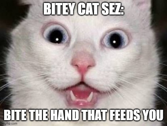 crazy cat | BITEY CAT SEZ:; BITE THE HAND THAT FEEDS YOU | image tagged in crazy cat | made w/ Imgflip meme maker