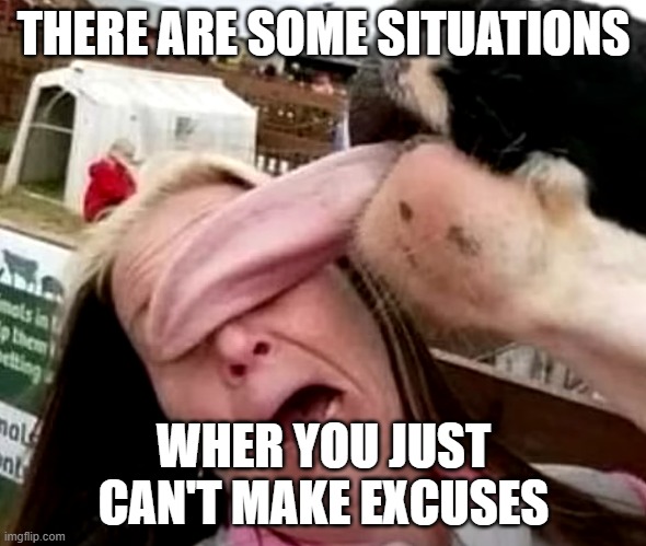 cow lick | THERE ARE SOME SITUATIONS; WHER YOU JUST CAN'T MAKE EXCUSES | image tagged in cow lick | made w/ Imgflip meme maker