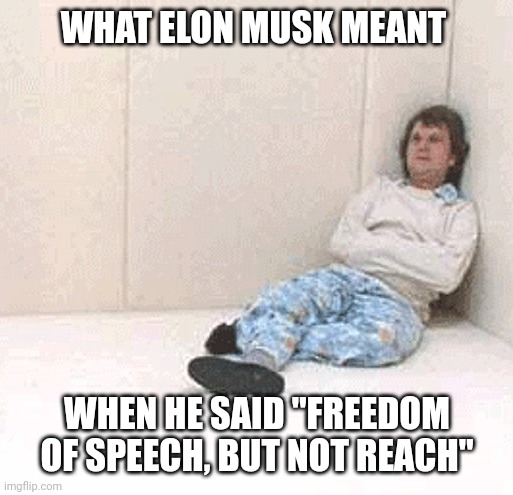 Freedom of speech | WHAT ELON MUSK MEANT; WHEN HE SAID "FREEDOM OF SPEECH, BUT NOT REACH" | image tagged in padded cell room 1,elon musk,censorship,twitter,freedom of speech | made w/ Imgflip meme maker