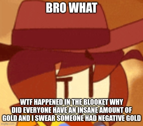 qhat | BRO WHAT; WTF HAPPENED IN THE BLOOKET WHY DID EVERYONE HAVE AN INSANE AMOUNT OF GOLD AND I SWEAR SOMEONE HAD NEGATIVE GOLD | image tagged in qhat | made w/ Imgflip meme maker