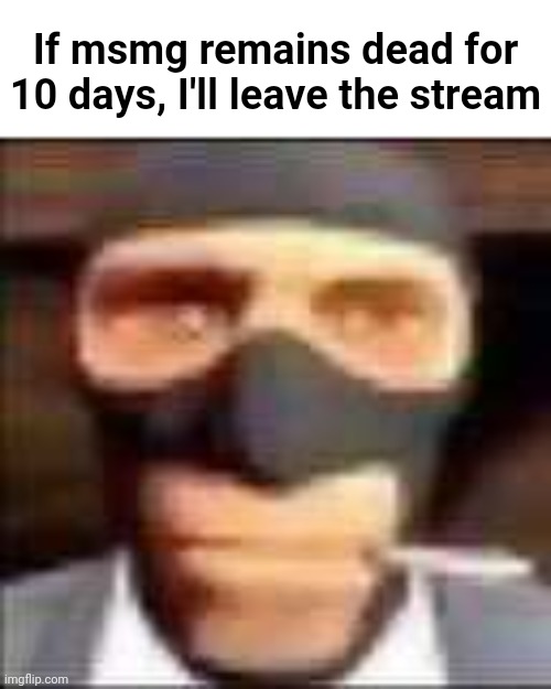 ik nobody here cares abt my future departure | If msmg remains dead for 10 days, I'll leave the stream | made w/ Imgflip meme maker