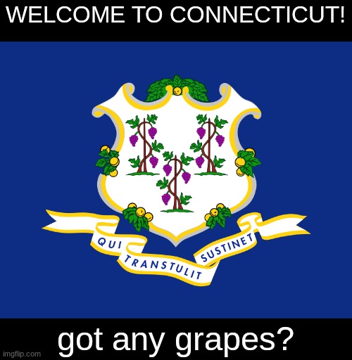 WELCOME TO CONNECTICUT! got any grapes? | made w/ Imgflip meme maker