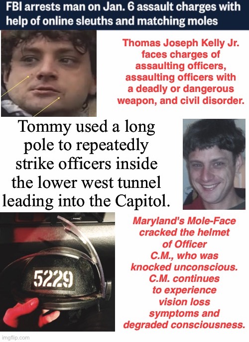 FBI Confirms There Were Moles At The Failed Coup | image tagged in assault,domestic terrorist,tommy admires big poles | made w/ Imgflip meme maker