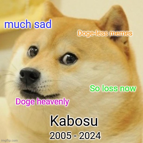 Kabosu the Doge R.I.P | much sad; Doge-less memes; So loss now; Doge heavenly; Kabosu; 2005 - 2024 | image tagged in memes,doge,kabosu | made w/ Imgflip meme maker