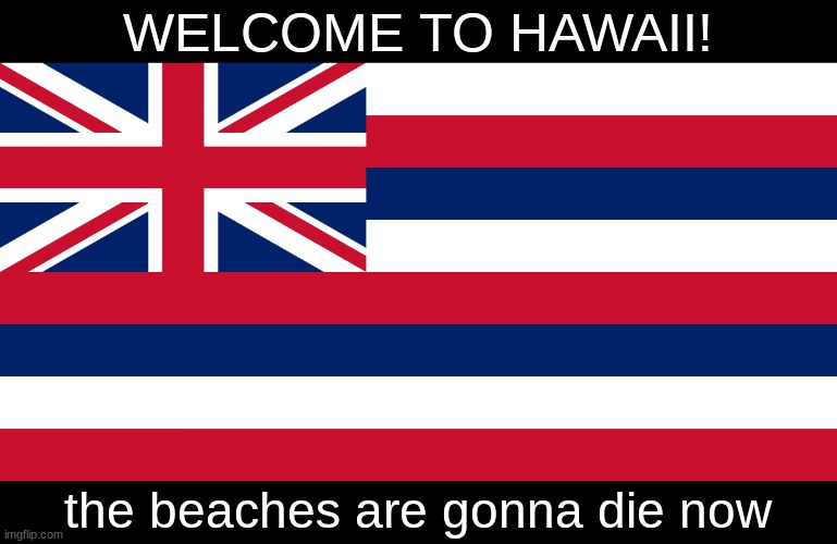 WELCOME TO HAWAII! the beaches are gonna die now | made w/ Imgflip meme maker