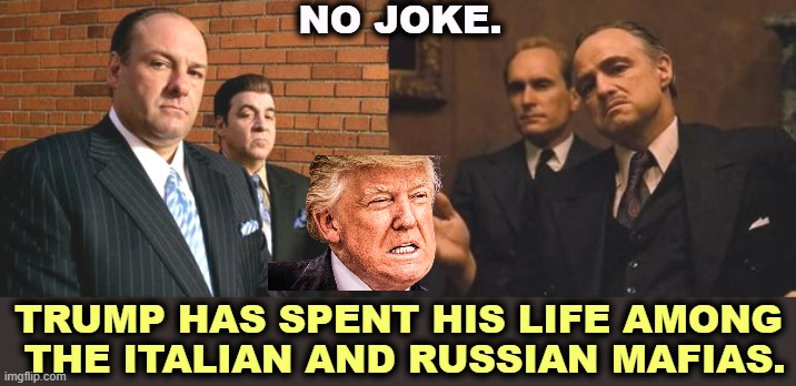 The Hoodlum President | NO JOKE. TRUMP HAS SPENT HIS LIFE AMONG
 THE ITALIAN AND RUSSIAN MAFIAS. | image tagged in trump,sopranos,corleone,putin,mafia,mafia don | made w/ Imgflip meme maker