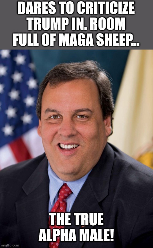 Chris Christie the ultimate alpha | DARES TO CRITICIZE TRUMP IN. ROOM FULL OF MAGA SHEEP... THE TRUE ALPHA MALE! | image tagged in conservative,republican,trump,nevertrump,maga,democrat | made w/ Imgflip meme maker