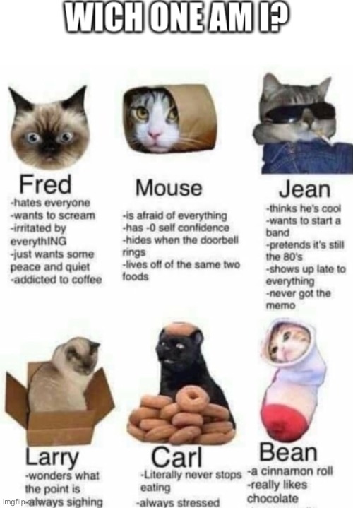 Which kitty am I? | image tagged in wich cat am i | made w/ Imgflip meme maker