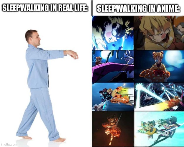 sleepwalking in anime | SLEEPWALKING IN REAL LIFE:; SLEEPWALKING IN ANIME: | image tagged in anime,sleepwalking,meme | made w/ Imgflip meme maker