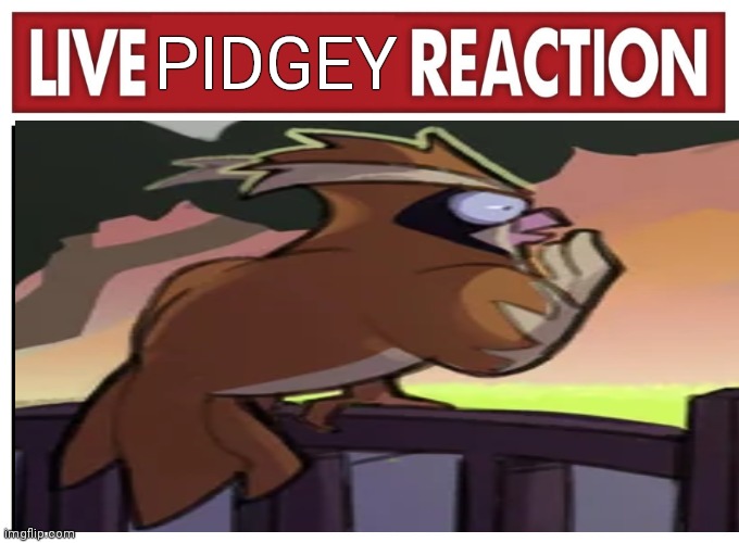 Live reaction | PIDGEY | image tagged in live reaction,pokemon,bird,shocked face | made w/ Imgflip meme maker