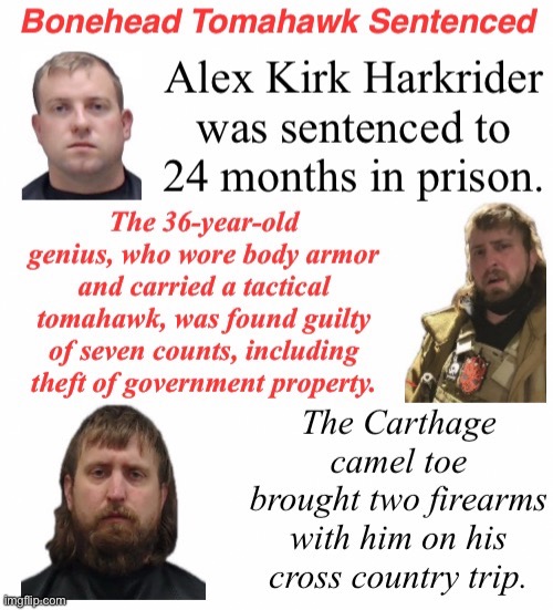 Another Texas Tourist Sentenced | image tagged in domestic terrorist,treason,snowflake,tuff mullet mouse when armed in a crowd | made w/ Imgflip meme maker