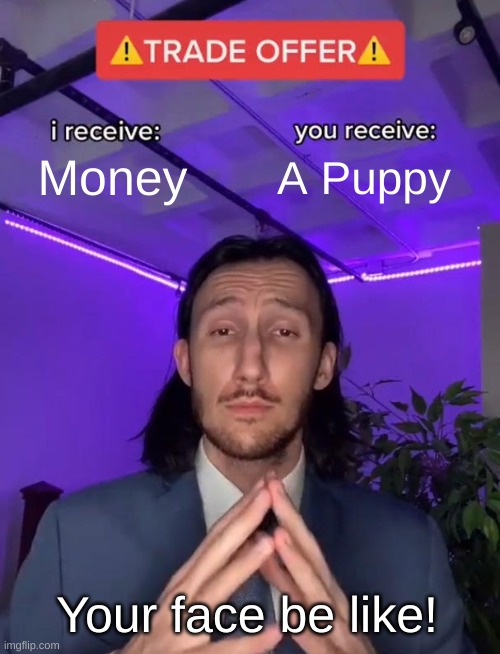 No one can resist! | Money; A Puppy; Your face be like! | image tagged in trade offer | made w/ Imgflip meme maker