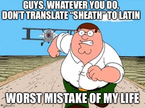 Don’t translate “sheath” to Latin | GUYS, WHATEVER YOU DO, DON’T TRANSLATE “SHEATH” TO LATIN; WORST MISTAKE OF MY LIFE | image tagged in peter griffin running away for a plane | made w/ Imgflip meme maker