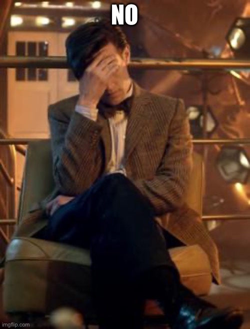 Doctor Who Facepalm | NO | image tagged in doctor who facepalm | made w/ Imgflip meme maker