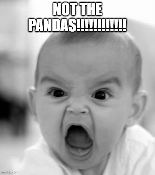 Angry Baby Meme | NOT THE PANDAS!!!!!!!!!!!! | image tagged in memes,angry baby | made w/ Imgflip meme maker
