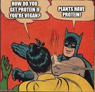 Vegan problems | HOW DO YOU GET PROTEIN IF YOU'RE VEGAN? PLANTS HAVE PROTEIN! | image tagged in memes,batman slapping robin,vegan,veganism | made w/ Imgflip meme maker