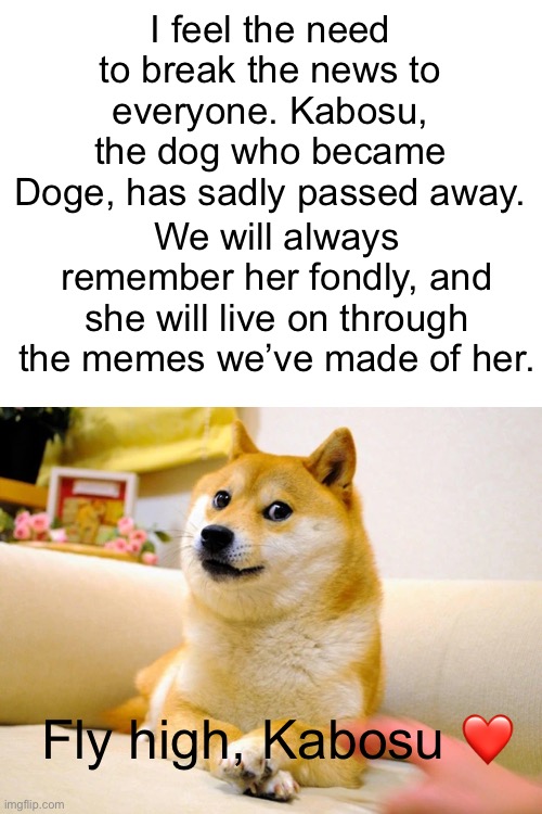 RIP Doge, you will be missed | I feel the need to break the news to everyone. Kabosu, the dog who became Doge, has sadly passed away. We will always remember her fondly, and she will live on through the memes we’ve made of her. Fly high, Kabosu ❤️ | image tagged in doge,rip | made w/ Imgflip meme maker