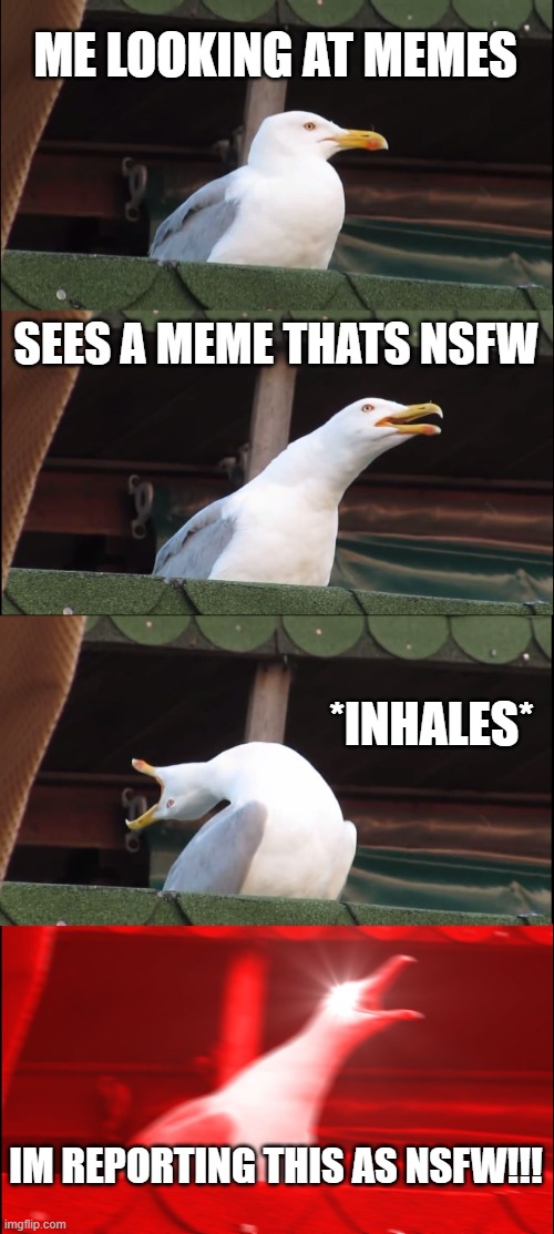 Inhaling Seagull | ME LOOKING AT MEMES; SEES A MEME THATS NSFW; *INHALES*; IM REPORTING THIS AS NSFW!!! | image tagged in memes,inhaling seagull | made w/ Imgflip meme maker