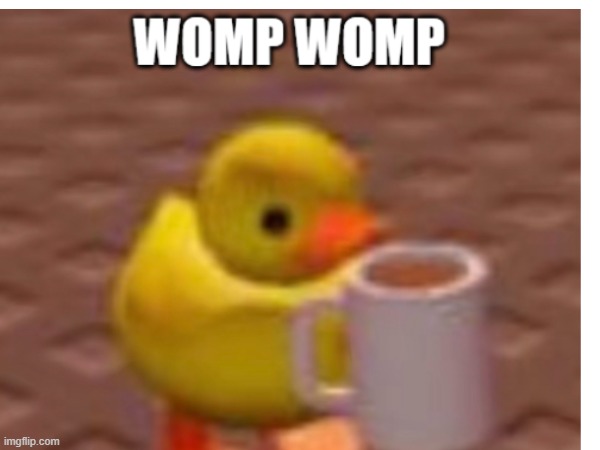 Womp womp duck | image tagged in duck | made w/ Imgflip meme maker