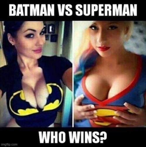 Which Hero | image tagged in batman,superman | made w/ Imgflip meme maker