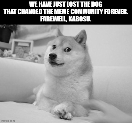 The doge we all know and love has died.... Press F to pay respect. | WE HAVE JUST LOST THE DOG THAT CHANGED THE MEME COMMUNITY FOREVER.
FAREWELL, KABOSU. | image tagged in memes,doge 2 | made w/ Imgflip meme maker