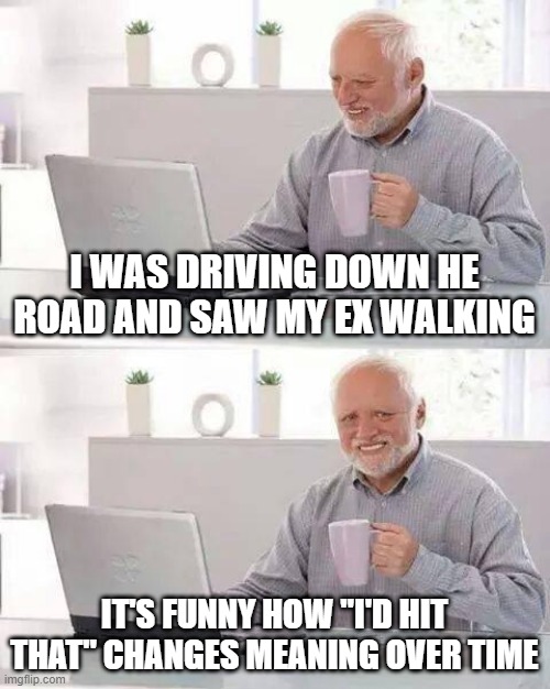 Hit That | I WAS DRIVING DOWN HE ROAD AND SAW MY EX WALKING; IT'S FUNNY HOW "I'D HIT THAT" CHANGES MEANING OVER TIME | image tagged in memes,hide the pain harold | made w/ Imgflip meme maker
