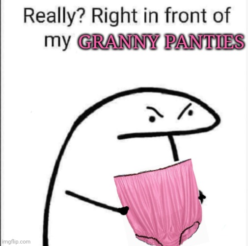 Really granny panties | image tagged in granny,panties,old,pink,not sexy | made w/ Imgflip meme maker