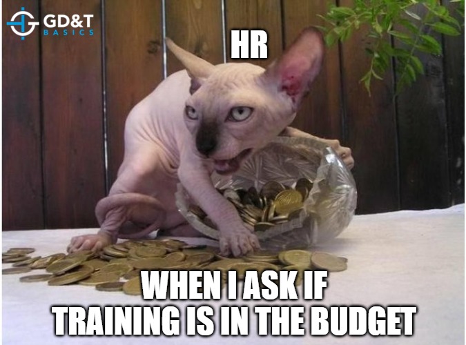 Just like Smog | HR; WHEN I ASK IF TRAINING IS IN THE BUDGET | image tagged in hairless cat hoarding precious coins,manufacturing,engineer,engineering | made w/ Imgflip meme maker