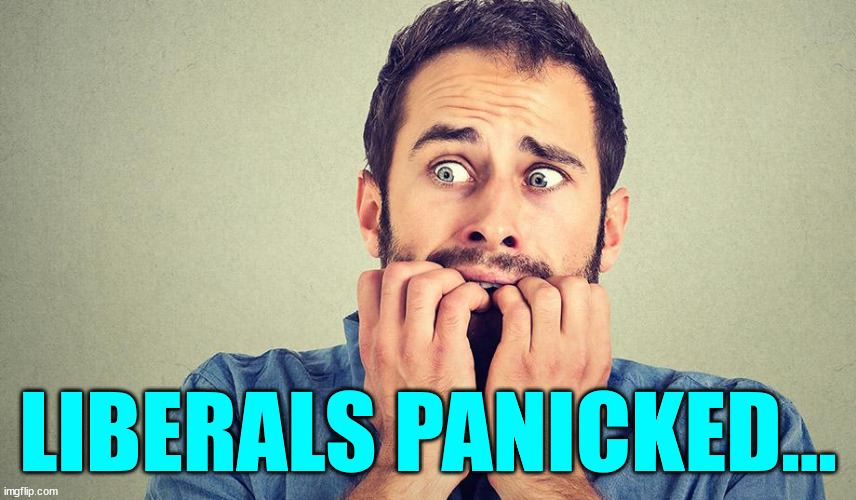 Liberal Panic | LIBERALS PANICKED... | image tagged in liberal panic | made w/ Imgflip meme maker