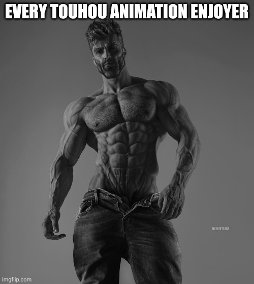 giga chad | EVERY TOUHOU ANIMATION ENJOYER | image tagged in giga chad | made w/ Imgflip meme maker