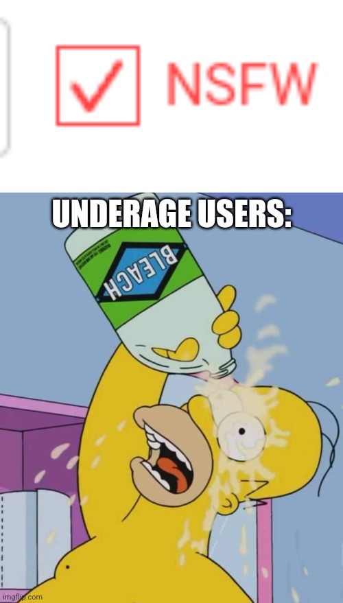 UNDERAGE USERS: | image tagged in nsfw box,homer with bleach | made w/ Imgflip meme maker