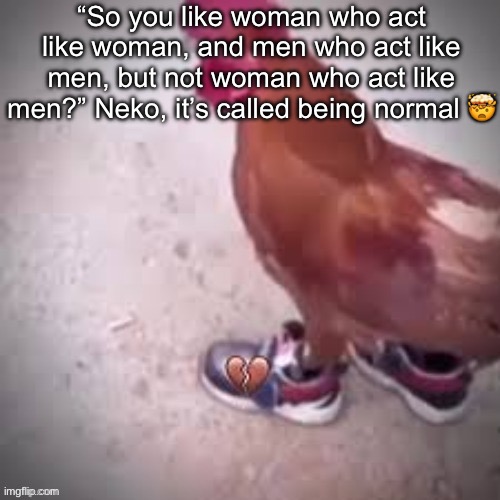 Chicken drip | “So you like woman who act like woman, and men who act like men, but not woman who act like men?” Neko, it’s called being normal 🤯 | image tagged in chicken drip | made w/ Imgflip meme maker