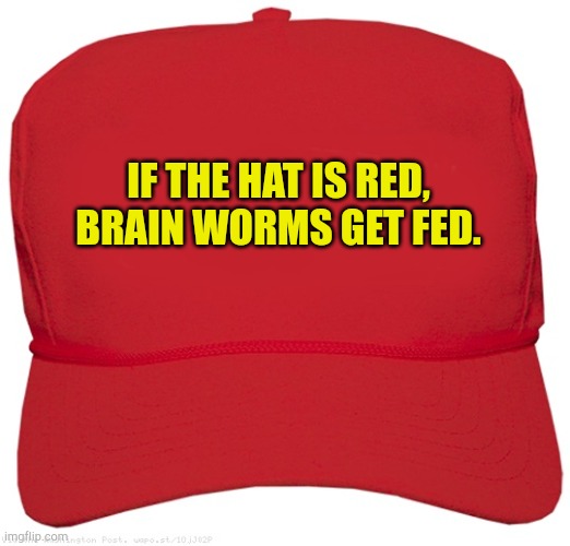 Red MAGA cap | IF THE HAT IS RED,

BRAIN WORMS GET FED. | image tagged in blank red maga hat | made w/ Imgflip meme maker