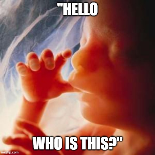 who is bro calling? | "HELLO; WHO IS THIS?" | image tagged in fetus | made w/ Imgflip meme maker