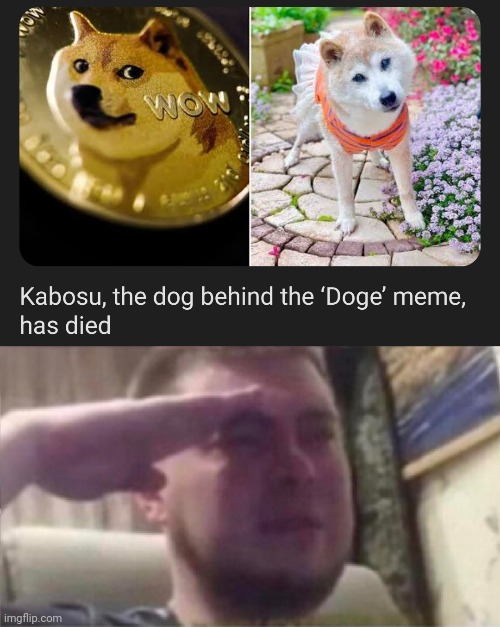 F in the comments. We have very sad news! | image tagged in crying salute,doge,news,memes,sad,press f to pay respects | made w/ Imgflip meme maker