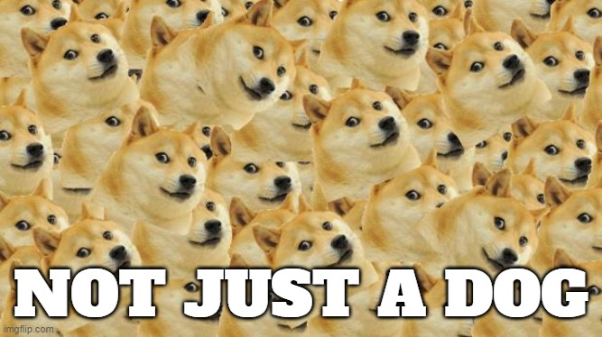 Multi Doge Meme | NOT JUST A DOG | image tagged in memes,multi doge | made w/ Imgflip meme maker