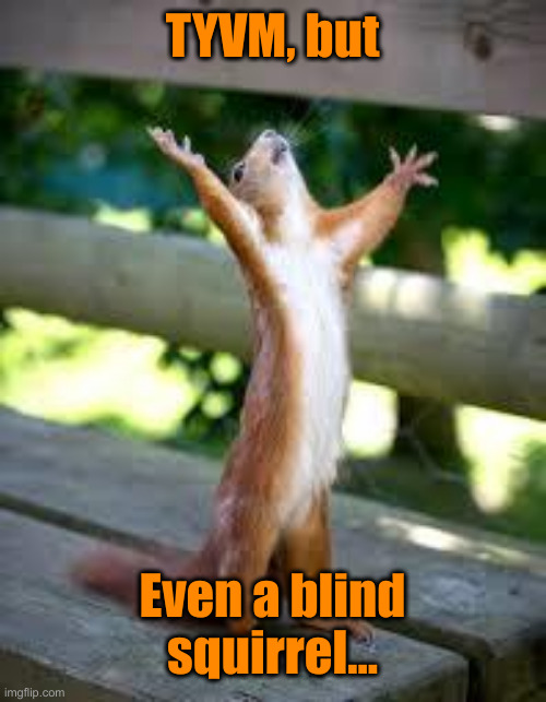 Praise Squirrel | TYVM, but Even a blind squirrel... | image tagged in praise squirrel | made w/ Imgflip meme maker