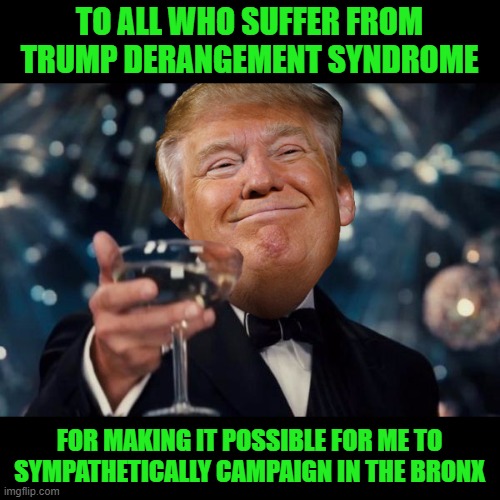 Checkmate in 6 Months | TO ALL WHO SUFFER FROM TRUMP DERANGEMENT SYNDROME; FOR MAKING IT POSSIBLE FOR ME TO SYMPATHETICALLY CAMPAIGN IN THE BRONX | image tagged in trump toast | made w/ Imgflip meme maker